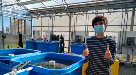 Students and our lab manager are setting up and taking water quality parameters in the ecological aquaculture greenhouse to start an experiment with live rainbow trout soon.