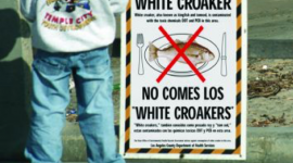 Man standing next to an advisory sign for white croaker