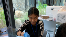 student dissects fish