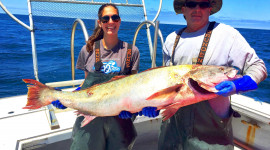 fishing people holding a very large fish