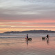Sunset during a clam survey on Pismo Beach
