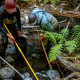 Taking samples at the creek.