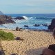 Woman sitting on a beach and looking at a seal