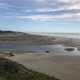 Salmon Creek Estuary.