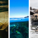 colorful header with images of marine and coastal-related science