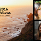 Class of 2016 Knauss Fellows