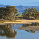 Devereux Slough, Santa Barbara