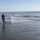 The team drags a large beach seine through the shallow water.