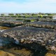 Shellfish aquaculture cages on beach