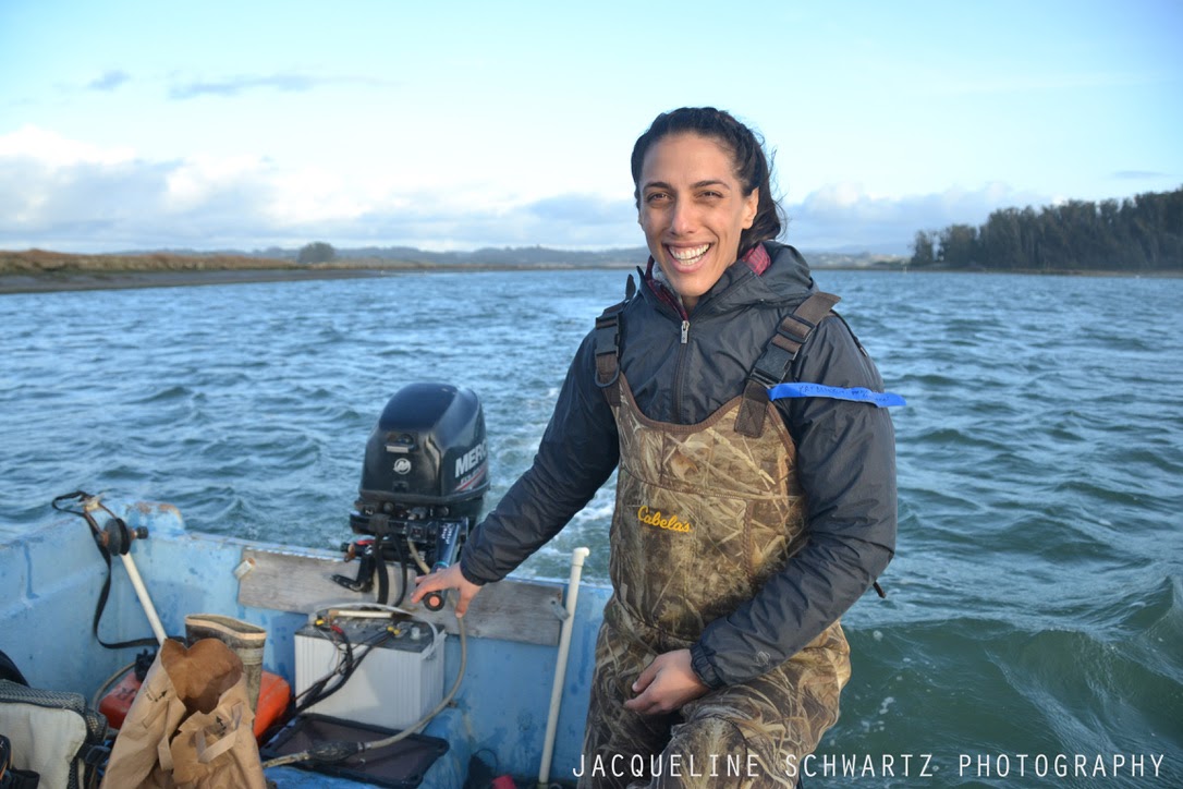 Kat's dissertation was focused on the loss and recovery dynamics of coastal foundation species in Elkhorn Slough, an estuary located in Monterey Bay, California. Here she is driving the Elkhorn Slough Reserve boat on one of those cold field days.