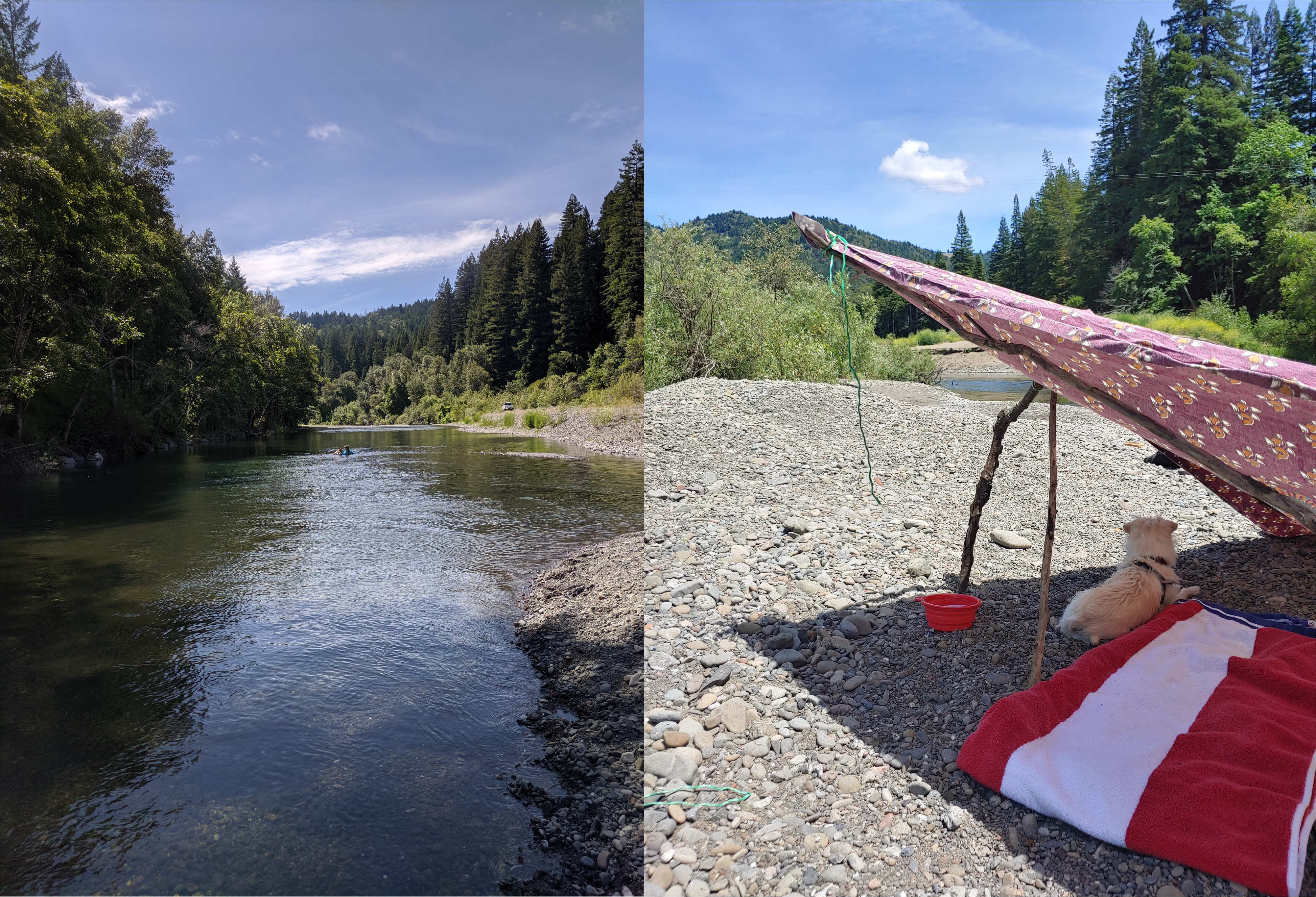 Left image of a river winding through a forest, right image of a dog laying under a shade cover on a river bank