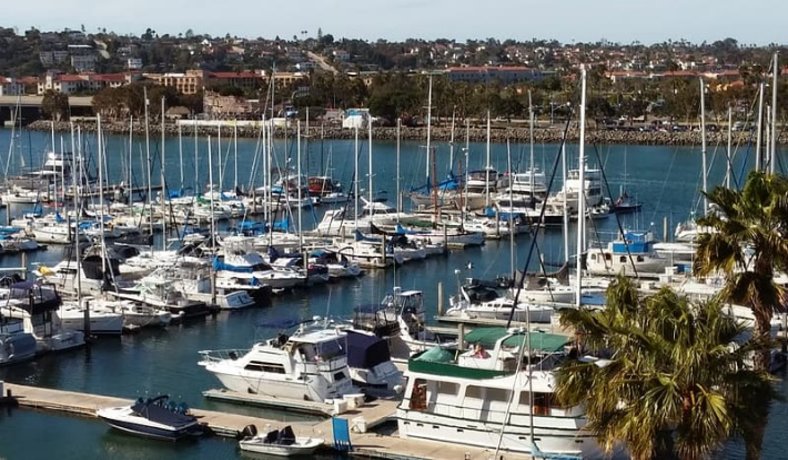 Boats docked in a harbor