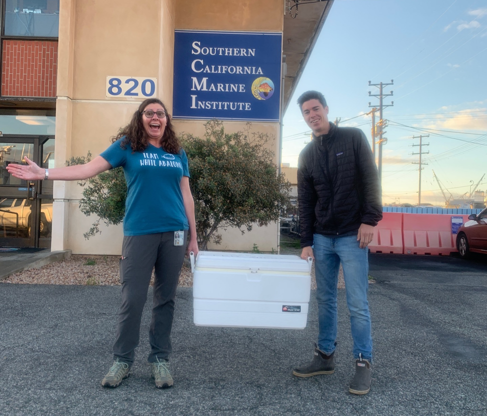 Two researchers holding a cooler of abalone larvae