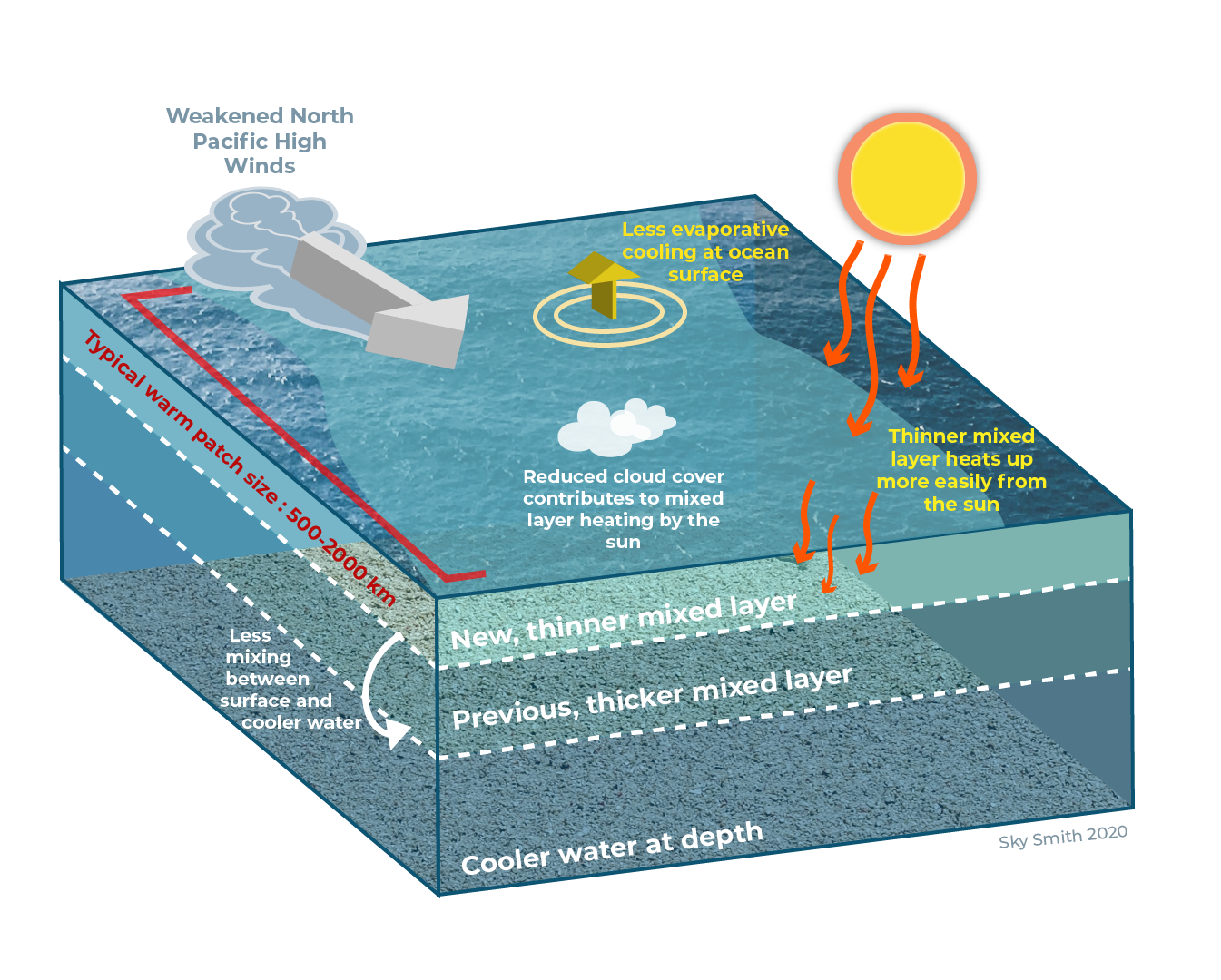 Figure depicting the physical mechanism driving marine heatwaves in california.