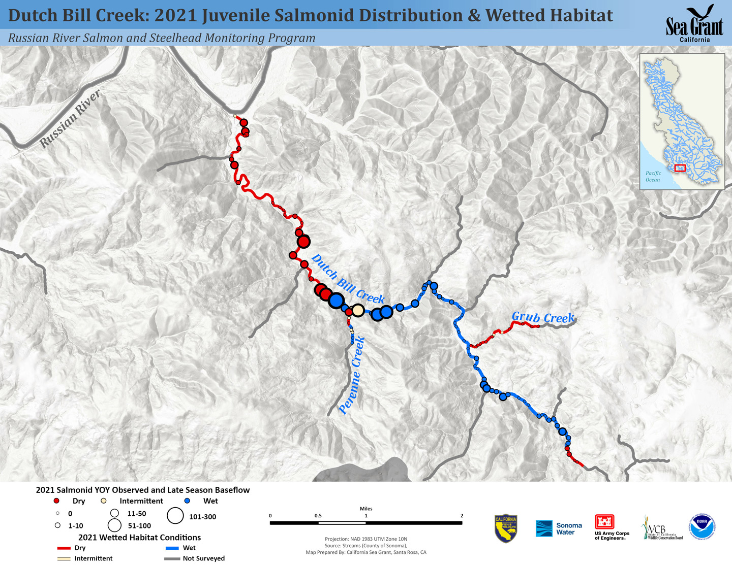 A map of Dutch Bill Creek showing juvenile snorkel counts from early summer overlaid with September habitat conditions. Circles correspond to the number of fish seen in each pool and line color indicates where the channel remained wet (blue), dried (red), or became intermittent (yellow).