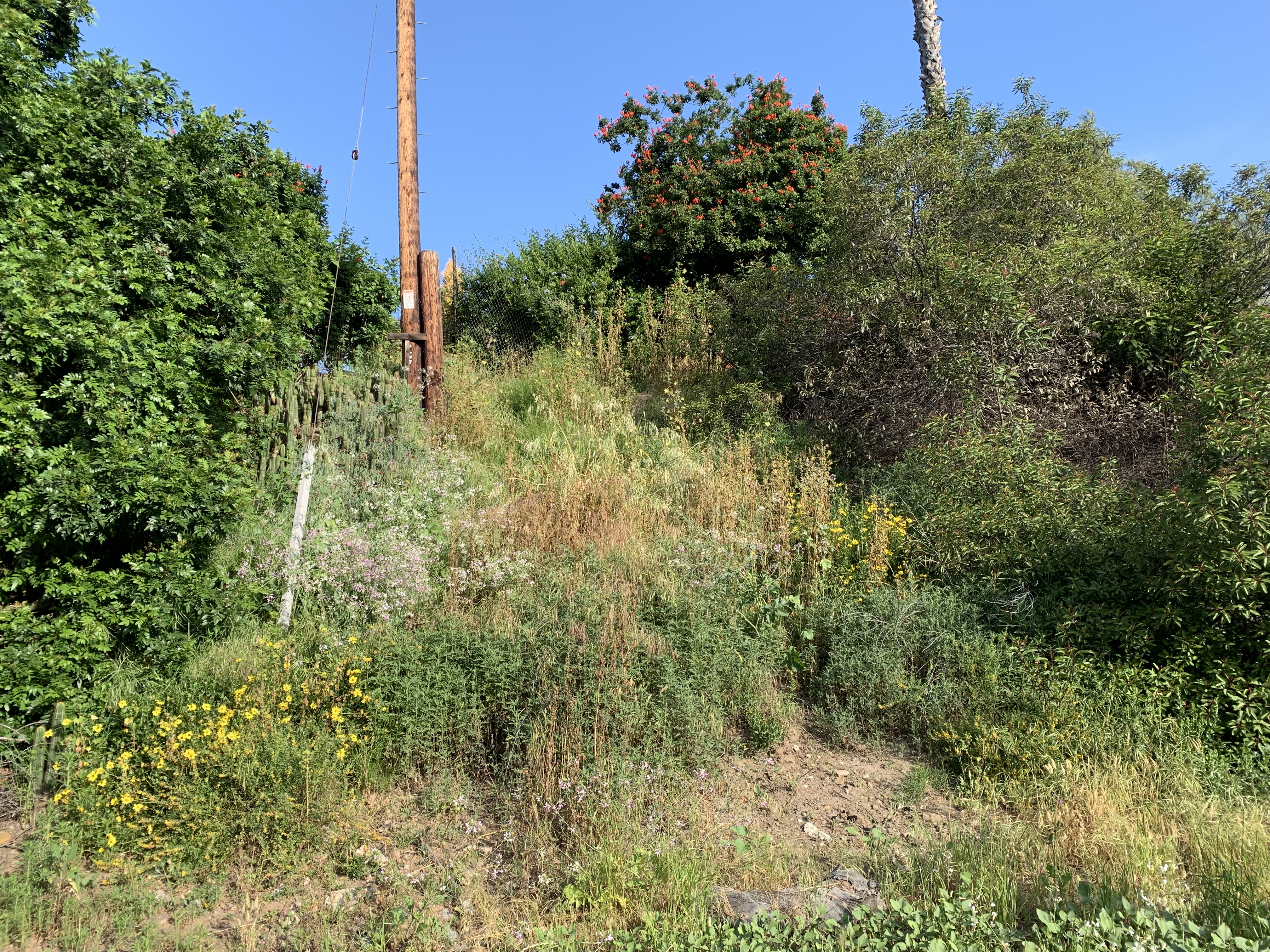 Fig. 5c. The same restoration plot, in 2019.